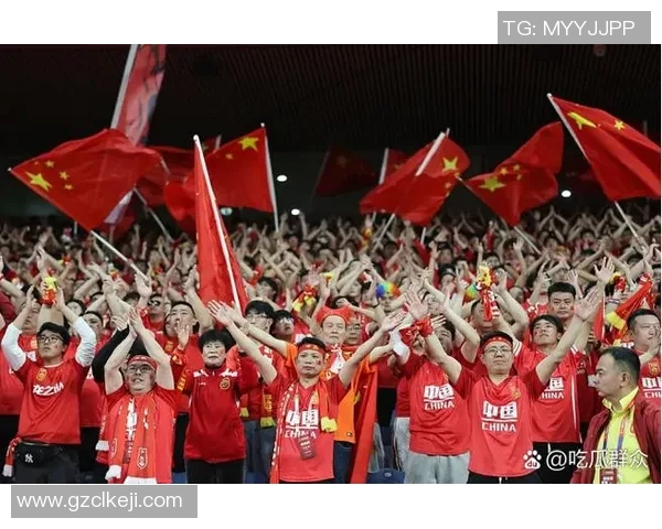 足球世界杯观众观赛体验及未来趋势