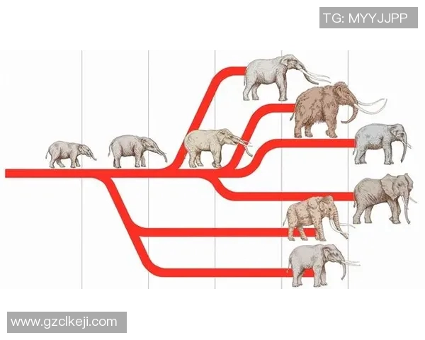 VAR背后的冷知识揭秘：你不知道的十大真相与误解解析